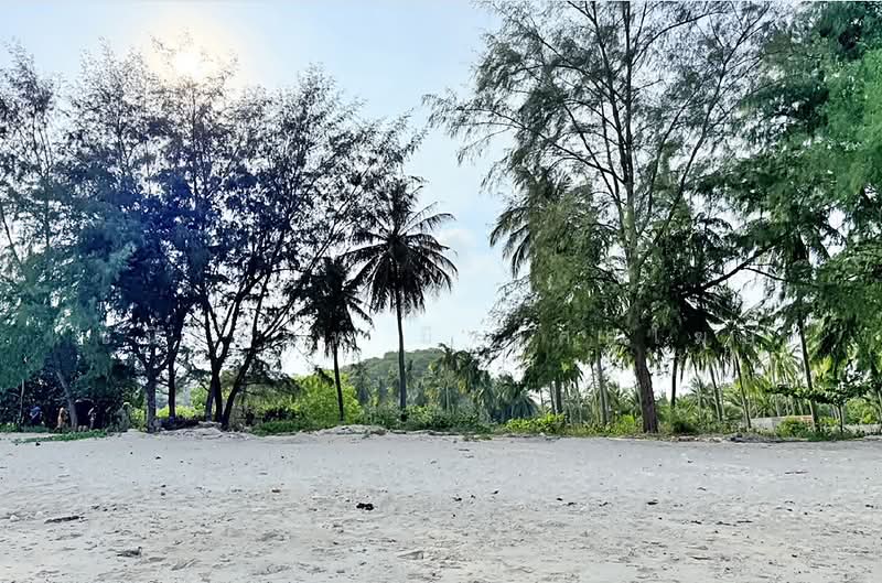Beachfront Land 6 Rai Samui near Lamai Beach, Surat Thani, แหลมเส็ด, Maret, Ko Samui, Surat Thani, , 9,908 sqm, Land For Sale, by Chanitnun Mewongukote, 500463662 - DDproperty.com