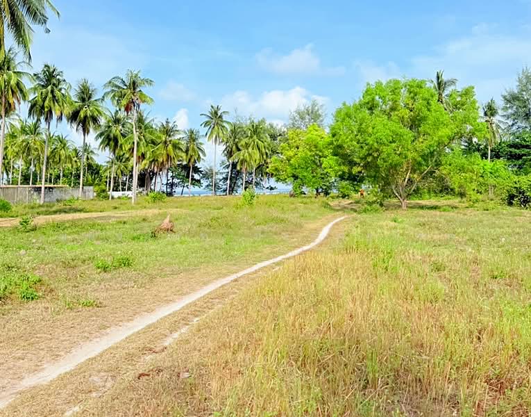 ขายที่ดิน 6 ไร่ ติดชายหาด เกาะสมุย ใกล้หาดละไม, สุราษฎร์ธานี, แหลมเส็ด, มะเร็ต, เกาะสมุย, สุราษฎร์ธานี, 9,908 ตร.ม., ที่ดิน ขาย, โดย ชนิจนันท์ มีวงศ์อุโฆษ, 500463662 - DDproperty.com