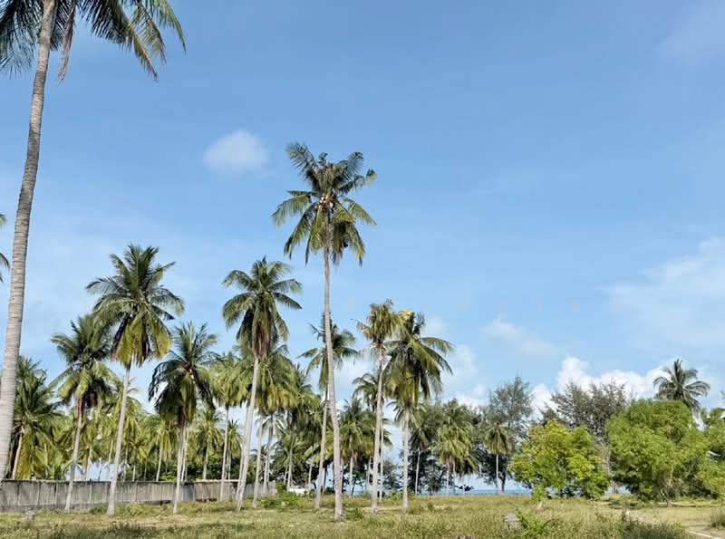 Beachfront Land 6 Rai Samui near Lamai Beach, Surat Thani, แหลมเส็ด, Maret, Ko Samui, Surat Thani, , 9,908 sqm, Land For Sale, by Chanitnun Mewongukote, 500463662 - DDproperty.com