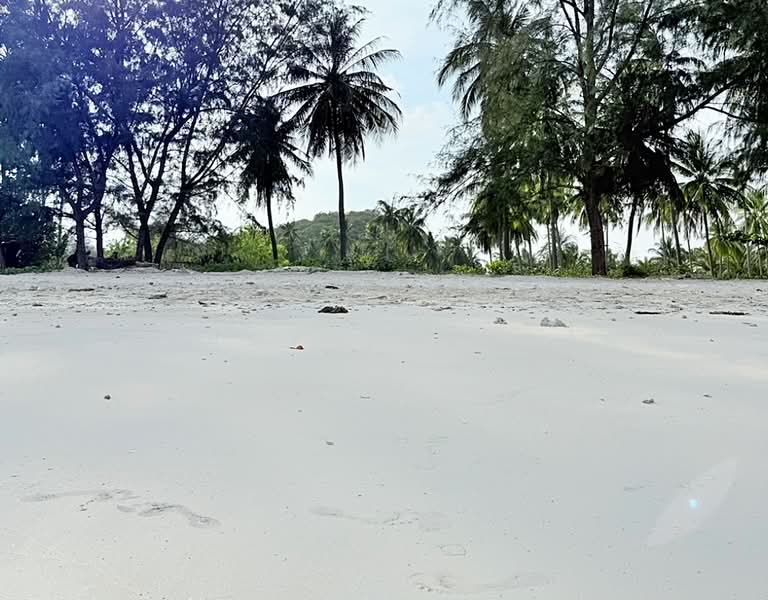 Beachfront Land 6 Rai Samui near Lamai Beach, Surat Thani, แหลมเส็ด, Maret, Ko Samui, Surat Thani, , 9,908 sqm, Land For Sale, by Chanitnun Mewongukote, 500463662 - DDproperty.com