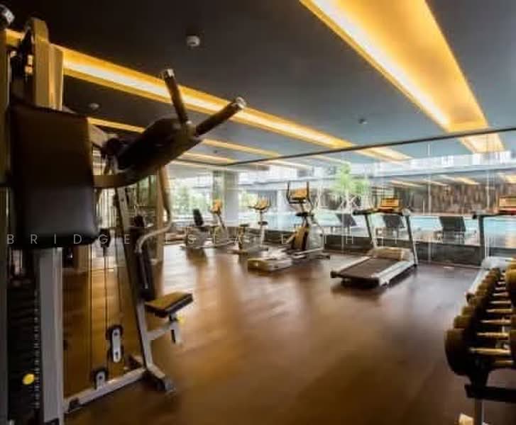 Siamese Gioia, Bangkok, Sukhumvit 31 Road, Khlong Tan Nua, Watthana, Bangkok, 1 Bedroom, 52 sqm, Condo For Rent, by Bridge Estate Thailand, 500463688 - DDproperty.com