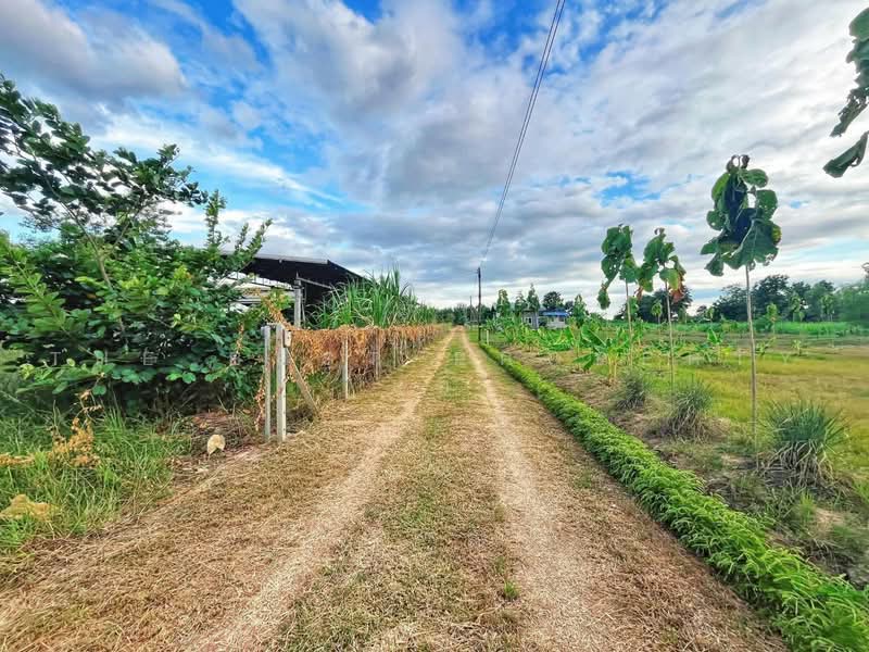 บ้านเดี่ยวพร้อมที่ดินหนองมะโมง ชัยนาท, ชัยนาท, วังตะเคียน, หนองมะโมง, ชัยนาท, 100 ตร.ม., บ้านเดี่ยว ขาย, โดย The Best Property แอ้, 500463765 - DDproperty.com