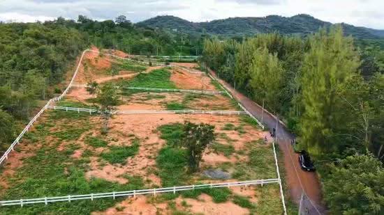 ที่ดิน, นครราชสีมา, ขนงพระ, ปากช่อง, นครราชสีมา, 1,600 ตร.ม., ที่ดิน ขาย, โดย วรพล วิแหลม, 500463798 - DDproperty.com