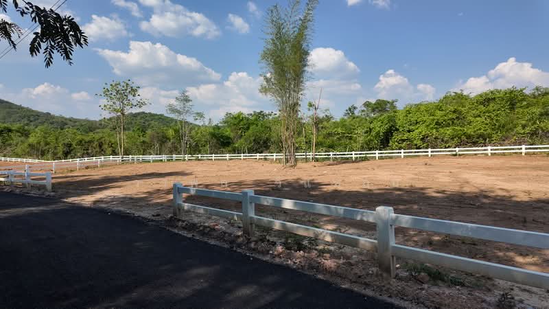 ที่ดิน, นครราชสีมา, ขนงพระ, ปากช่อง, นครราชสีมา, 1,600 ตร.ม., ที่ดิน ขาย, โดย วรพล วิแหลม, 500463798 - DDproperty.com