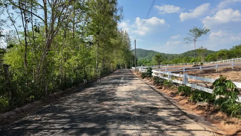 ที่ดิน, นครราชสีมา, ขนงพระ, ปากช่อง, นครราชสีมา, 1,600 ตร.ม., ที่ดิน ขาย, โดย วรพล วิแหลม, 500463798 - DDproperty.com