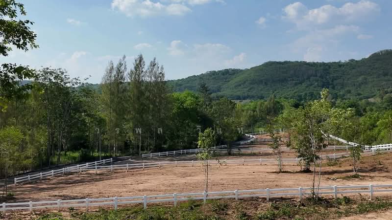 ที่ดิน, นครราชสีมา, ขนงพระ, ปากช่อง, นครราชสีมา, 1,600 ตร.ม., ที่ดิน ขาย, โดย วรพล วิแหลม, 500463798 - DDproperty.com