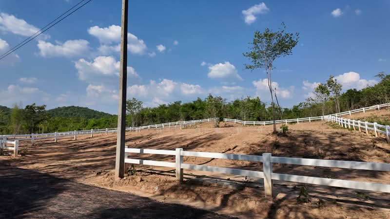ที่ดิน, นครราชสีมา, ขนงพระ, ปากช่อง, นครราชสีมา, 1,600 ตร.ม., ที่ดิน ขาย, โดย วรพล วิแหลม, 500463798 - DDproperty.com