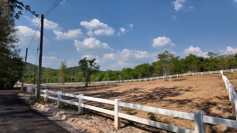ที่ดิน, นครราชสีมา, ขนงพระ, ปากช่อง, นครราชสีมา, 1,600 ตร.ม., ที่ดิน ขาย, โดย วรพล วิแหลม, 500463798 - DDproperty.com