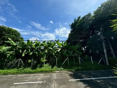 ขาย - ขายที่ดิน ซอย รามอินทรา 61 แยก 4, กรุงเทพ