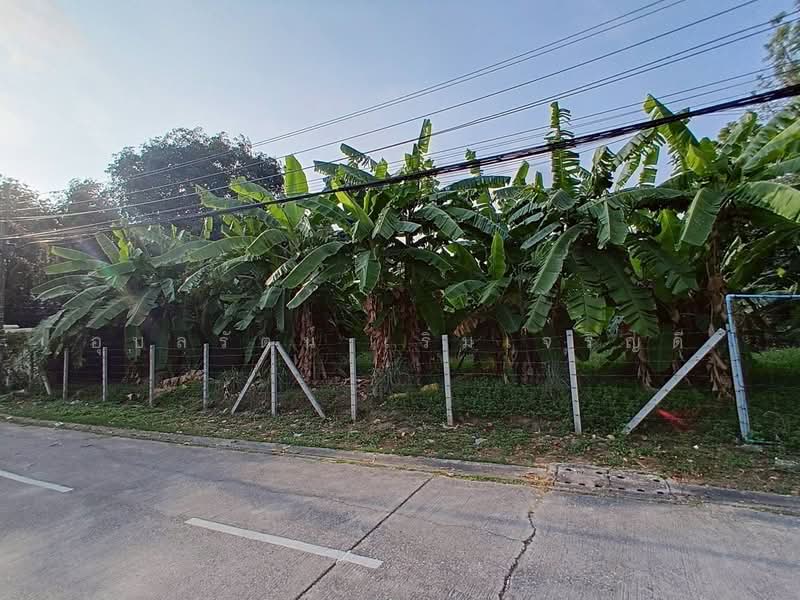ขายที่ดิน ซอย รามอินทรา 61 แยก 4, กรุงเทพ, รามอินทรา 61 แยก 4, ท่าแร้ง, บางเขน, กรุงเทพ, 752 ตร.ม., ที่ดิน ขาย, โดย อุบลรัตน์ เริ่มเจริญดี, 500463809 - DDproperty.com