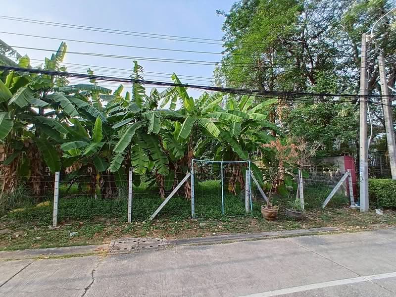 ขายที่ดิน ซอย รามอินทรา 61 แยก 4, Bangkok, รามอินทรา 61 แยก 4, Tha Rang, Bang Khen, Bangkok, , 752 sqm, Land For Sale, by Ubonrat Roemcharoendee, 500463809 - DDproperty.com