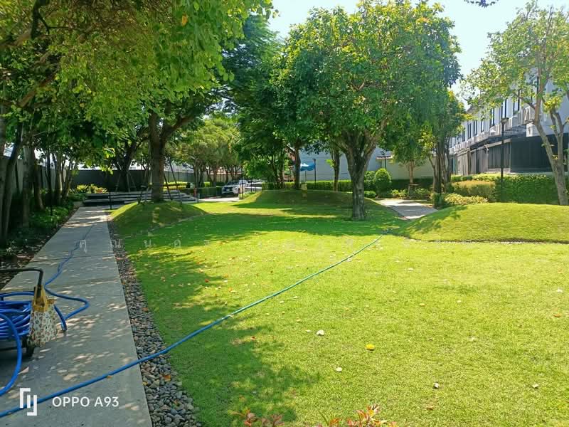 สิริเพลส นวนคร, Phra Nakhon Si Ayutthaya, พหลโยธิน, Chiang Rak Noi, Bang Pa-In, Phra Nakhon Si Ayutthaya, 2 Bedrooms, 93 sqm, Townhouse For Sale, by คุณน้อง เกรทเทสต์, 500463822 - DDproperty.com