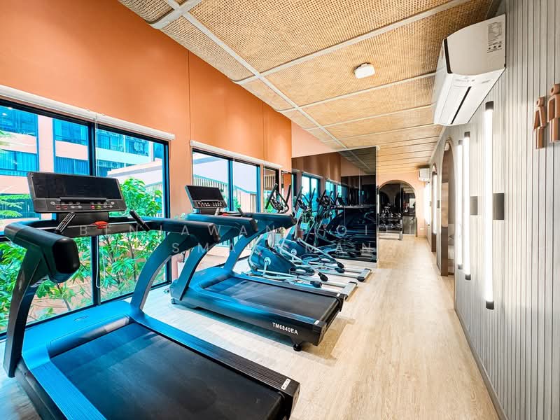 The Cube Amaze Srisoonthon, Phuket, 46/21 Srisoonthorn Rd, Sri Sunthon, Thalang, Phuket, 2 Bedrooms, 35 sqm, Condo For Rent, by Benjawan (Oilly) Smaksman, 500463849 - DDproperty.com