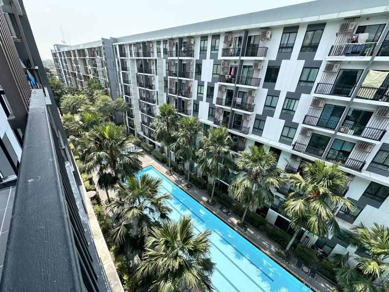 iCondo Sukhumvit 105, Bangkok, 20 Soi Lasalle 19,  Sukhumvit 105 Road, Bang Na, Bangkok, 1 Bedroom, 31 sqm, Condo For Sale, by พุฒิโชติ ศรีวัง, 500463906 - DDproperty.com