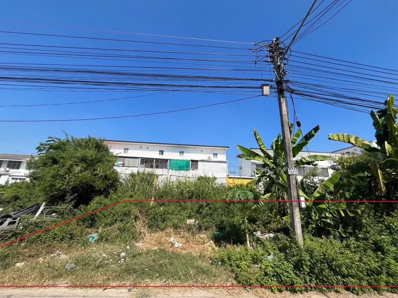 ที่ดินเปล่า ทำเลศักยภาพ ซ.ไสวประชาราษฎร์ 33 (ซ.ร่วมสุข8) ต.ลาดสวาย อ.ลำลูกกา จ.ปทุมธานี, Pathum Thani, พระองค์เจ้าสายคลอง 4, Lat Sawai, Lam Luk Ka, Pathum Thani, , 800 sqm, Land For Sale, by ศุภวัฒน์ ไชยสาร, 500463946 - DDproperty.com