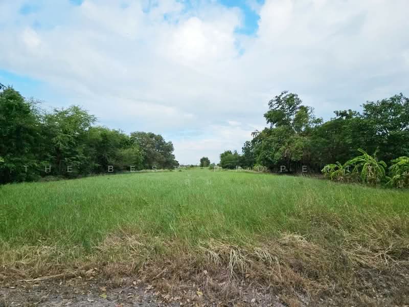 ที่ดินพานทอง ชลบุรี, Chon Buri (Pattaya), Map Pong, Phan Thong, Chon Buri (Pattaya), , 2,400 sqm, Land For Sale, by The Best Property ส้ม, 500464143 - DDproperty.com