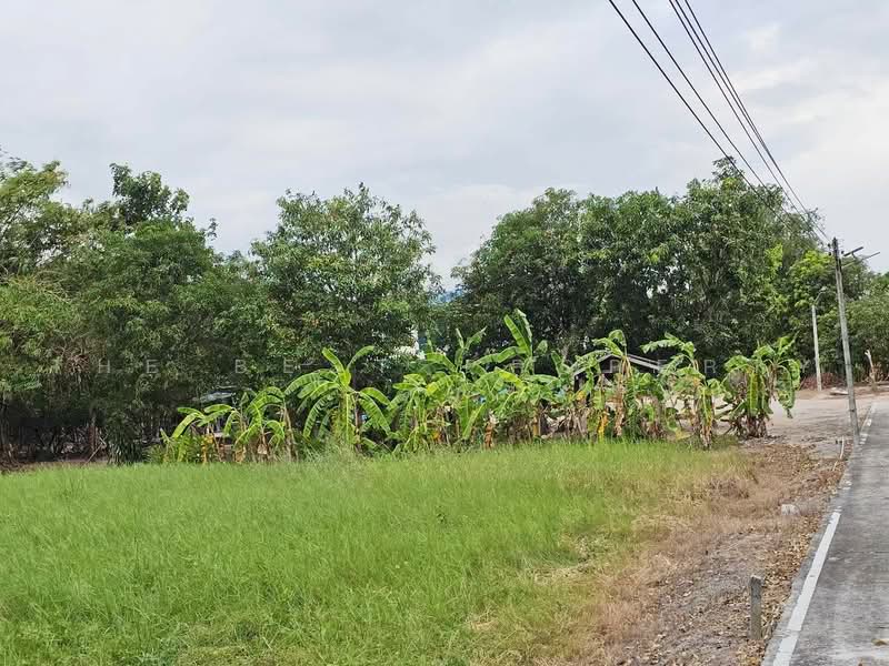 ที่ดินพานทอง ชลบุรี, Chon Buri (Pattaya), Map Pong, Phan Thong, Chon Buri (Pattaya), , 2,400 sqm, Land For Sale, by The Best Property ส้ม, 500464143 - DDproperty.com