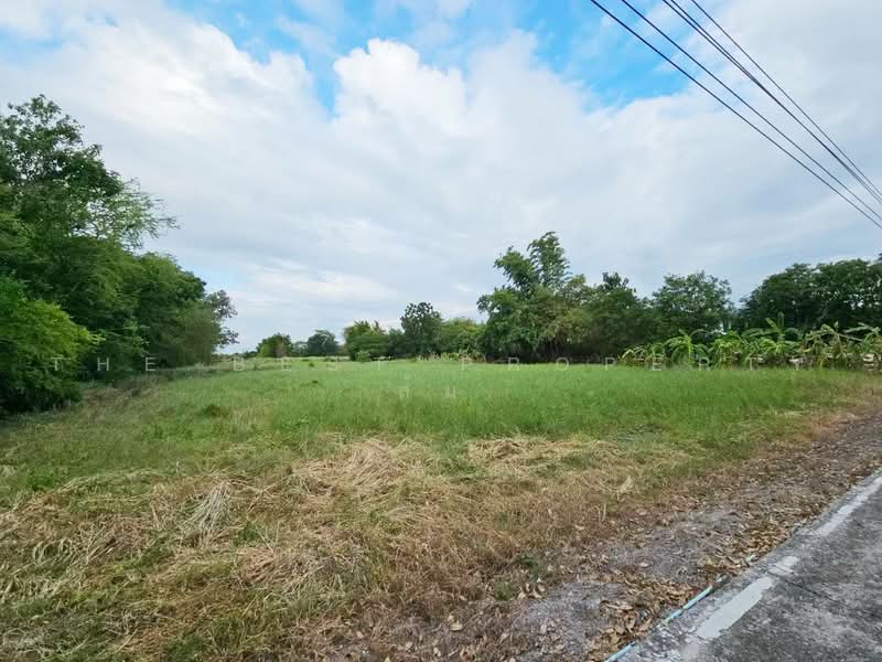 ที่ดินพานทอง ชลบุรี, Chon Buri (Pattaya), Map Pong, Phan Thong, Chon Buri (Pattaya), , 2,400 sqm, Land For Sale, by The Best Property ส้ม, 500464143 - DDproperty.com