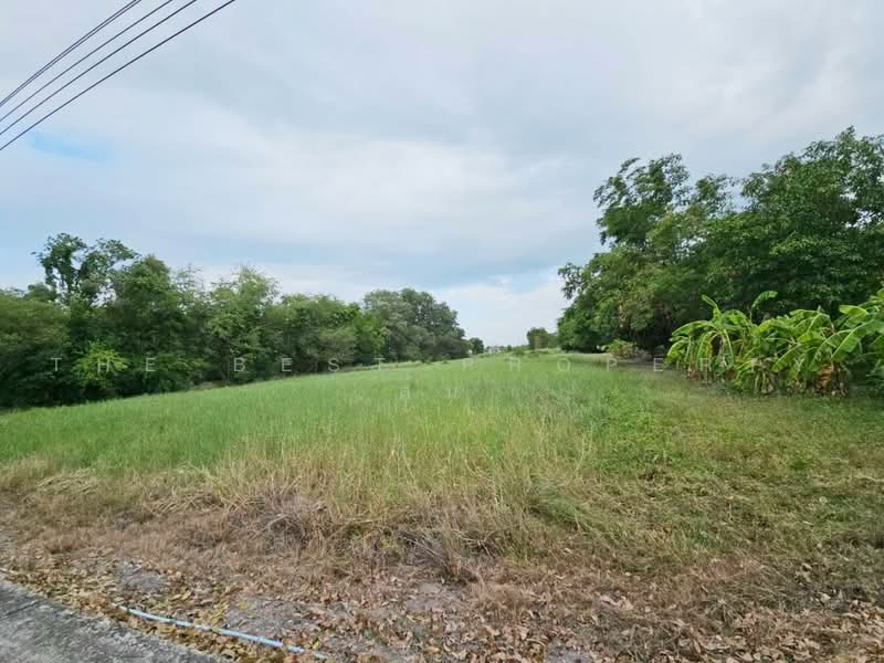 ที่ดินพานทอง ชลบุรี, Chon Buri (Pattaya), Map Pong, Phan Thong, Chon Buri (Pattaya), , 2,400 sqm, Land For Sale, by The Best Property ส้ม, 500464143 - DDproperty.com