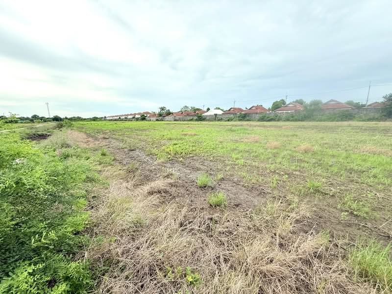 ที่ดินคลองหลวงแพ่ง ฉะเชิงเทรา, Chachoengsao, Khlong Luang Phaeng, Muang Chachoengsao, Chachoengsao, , 9,600 sqm, Land For Sale, by The Best Property เมญ่า, 500464144 - DDproperty.com