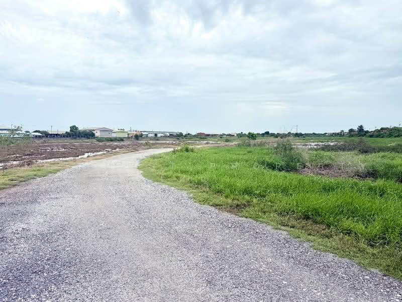 ที่ดินคลองหลวงแพ่ง ฉะเชิงเทรา, Chachoengsao, Khlong Luang Phaeng, Muang Chachoengsao, Chachoengsao, , 9,600 sqm, Land For Sale, by The Best Property เมญ่า, 500464144 - DDproperty.com