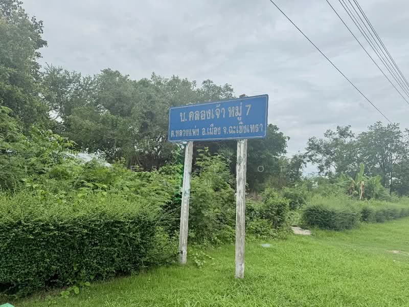 ที่ดินคลองหลวงแพ่ง ฉะเชิงเทรา, ฉะเชิงเทรา, คลองหลวงแพ่ง, เมืองฉะเชิงเทรา, ฉะเชิงเทรา, 9,600 ตร.ม., ที่ดิน ขาย, โดย The Best Property เมญ่า, 500464144 - DDproperty.com