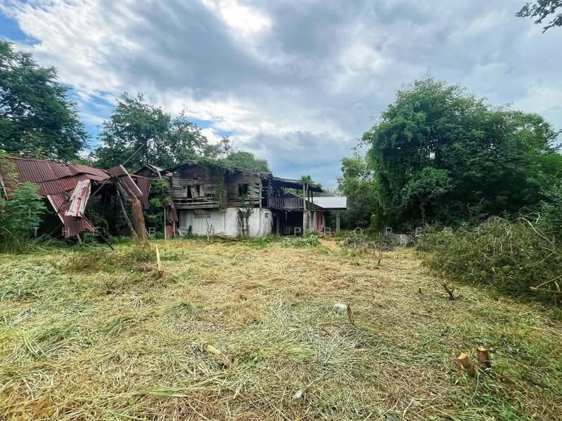 บ้านเดี่ยวพร้อมที่ดินสรรคบุรี ชัยนาท, ชัยนาท, เที่ยงแท้, สรรคบุรี, ชัยนาท, 150 ตร.ม., บ้านเดี่ยว ขาย, โดย The Best Property แอ้, 500464150 - DDproperty.com