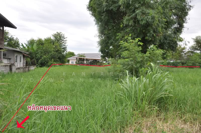 ที่ดิน บนถนนทุ่มพัฒนา ตำบลบ้านทุ่ม อำเภอเมืองขอนแก่น, ขอนแก่น, ถนนทุ่มพัฒนา, บ้านทุ่ม, เมืองขอนแก่น, ขอนแก่น, 1,638 ตร.ม., ที่ดิน ขาย, โดย Kanyarak Borwornsetthaskul, 500464157 - DDproperty.com