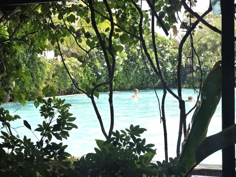 Copacabana Beach Jomtien, Chon Buri (Pattaya), Jomtien Sai Song Rd, Nong Pru, Bang Lamung (Pattaya), Chon Buri (Pattaya), 1 Bedroom, 29 sqm, Condo For Rent, by คุณรินดา, 500464188 - DDproperty.com