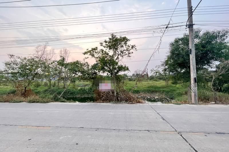 ถนนสามโคก ซอยเทศบาล 6, ปทุมธานี, ถนนสามโคก, บางโพธิ์เหนือ, สามโคก, ปทุมธานี, 7,796 ตร.ม., ที่ดิน ขาย, โดย คุณนารี, 500464198 - DDproperty.com
