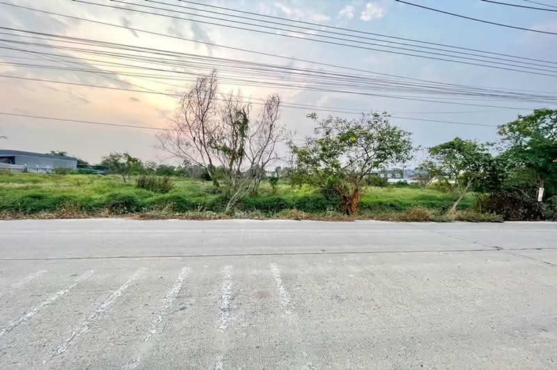 ถนนสามโคก ซอยเทศบาล 6, ปทุมธานี, ถนนสามโคก, บางโพธิ์เหนือ, สามโคก, ปทุมธานี, 7,796 ตร.ม., ที่ดิน ขาย, โดย คุณนารี, 500464198 - DDproperty.com