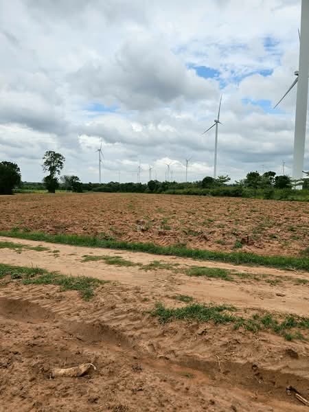 Land in Nakhonratchasima, Nakhon Ratchasima, Huai Bong, Dan Khun Thot, Nakhon Ratchasima, , 18,680 sqm, Retail Space For Sale, by อุ๋ม, 500464200 - DDproperty.com