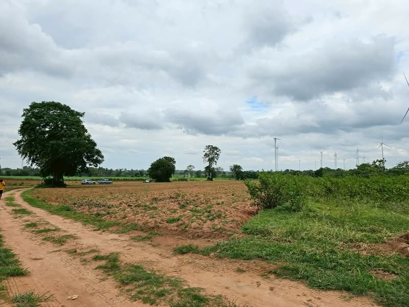 Land in Nakhonratchasima, Nakhon Ratchasima, Huai Bong, Dan Khun Thot, Nakhon Ratchasima, , 18,680 sqm, Retail Space For Sale, by อุ๋ม, 500464200 - DDproperty.com