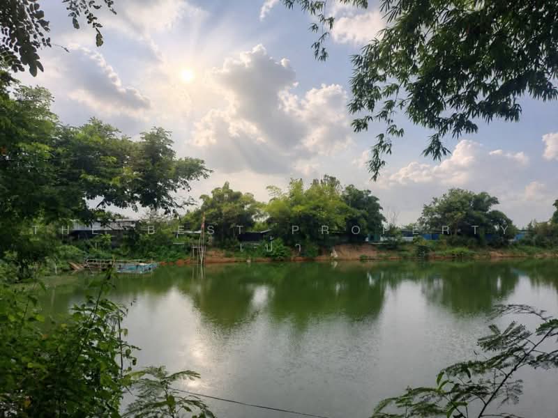 ที่ดินโพธิ์ตาก หนองคาย, หนองคาย, โพธิ์ตาก, หนองคาย, 24,285 ตร.ม., ที่ดิน ขาย, โดย The Best Property เป้า, 500464215 - DDproperty.com