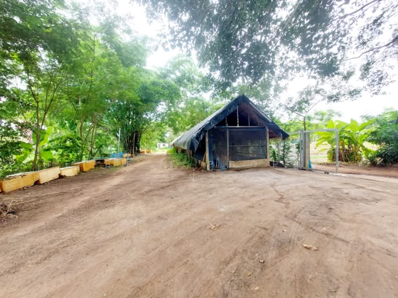 ที่ดินโพธิ์ตาก หนองคาย, Nong Khai, Pho Tak, Nong Khai, , 24,285 sqm, Land For Sale, by The Best Property เป้า, 500464215 - DDproperty.com