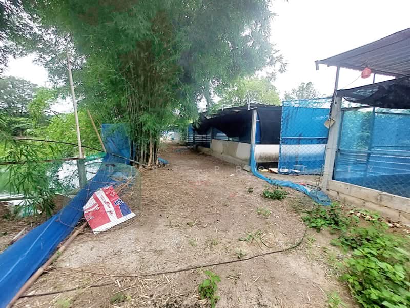 ที่ดินโพธิ์ตาก หนองคาย, หนองคาย, โพธิ์ตาก, หนองคาย, 24,285 ตร.ม., ที่ดิน ขาย, โดย The Best Property เป้า, 500464215 - DDproperty.com