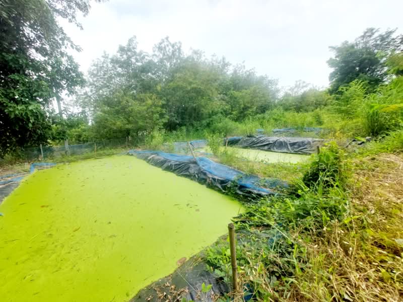 ที่ดินโพธิ์ตาก หนองคาย, Nong Khai, Pho Tak, Nong Khai, , 24,285 sqm, Land For Sale, by The Best Property เป้า, 500464215 - DDproperty.com