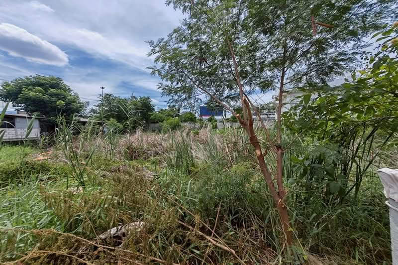 ถนนสุขาภิบาล 2 ซอย 10, Bangkok, ถนนสุขาภิบาล 2, Prawet, Bangkok, , 1,452 sqm, Land For Sale, by คุณเจษ, 500464221 - DDproperty.com