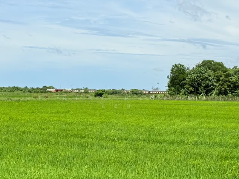 ที่ดินบ้านหมอ สระบุรี, สระบุรี, ตลาดน้อย, บ้านหมอ, สระบุรี, 10,236 ตร.ม., ที่ดิน ขาย, โดย The Best Property แอม, 500464223 - DDproperty.com