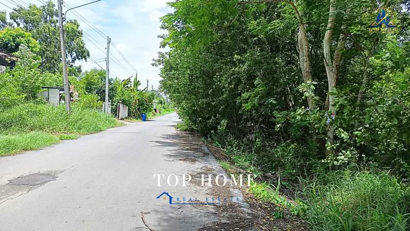 ขายด่วน! ที่ดินเปล่า คลองหกตะวันตก 13 ทำเลดี เหมาะสร้างบ้านพักอาศัย, ปทุมธานี, คลองหก, คลองหลวง, ปทุมธานี, 800 ตร.ม., ที่ดิน ขาย, โดย คุณเเอพ, 500464290 - DDproperty.com