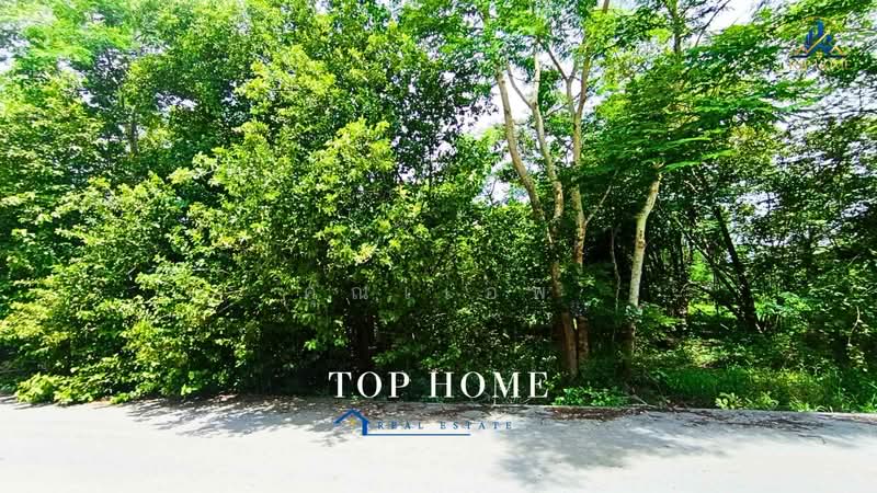 ขายด่วน! ที่ดินเปล่า คลองหกตะวันตก 13 ทำเลดี เหมาะสร้างบ้านพักอาศัย, Pathum Thani, Khlong Hok, Khlong Luang, Pathum Thani, , 800 sqm, Land For Sale, by คุณเเอพ, 500464290 - DDproperty.com