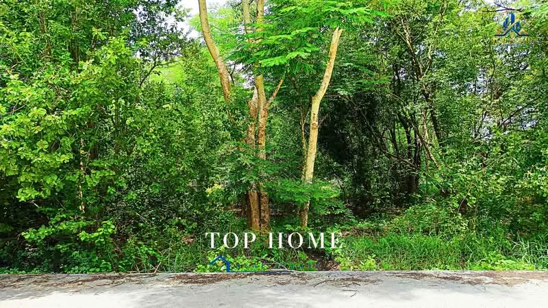 ขายด่วน! ที่ดินเปล่า คลองหกตะวันตก 13 ทำเลดี เหมาะสร้างบ้านพักอาศัย, Pathum Thani, Khlong Hok, Khlong Luang, Pathum Thani, , 800 sqm, Land For Sale, by คุณเเอพ, 500464290 - DDproperty.com