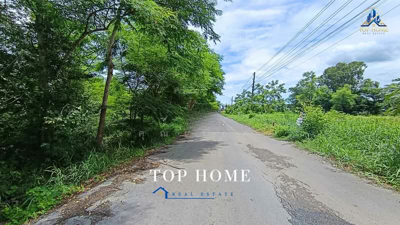 ขายด่วน! ที่ดินเปล่า คลองหกตะวันตก 13 ทำเลดี เหมาะสร้างบ้านพักอาศัย, Pathum Thani, Khlong Hok, Khlong Luang, Pathum Thani, , 800 sqm, Land For Sale, by คุณเเอพ, 500464290 - DDproperty.com