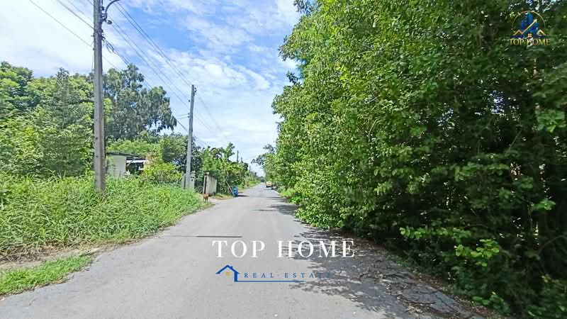 ขายด่วน! ที่ดินเปล่า คลองหกตะวันตก 13 ทำเลดี เหมาะสร้างบ้านพักอาศัย, ปทุมธานี, คลองหก, คลองหลวง, ปทุมธานี, 800 ตร.ม., ที่ดิน ขาย, โดย คุณเเอพ, 500464290 - DDproperty.com