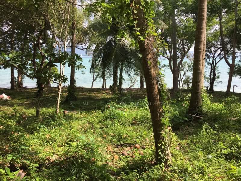 Vacant land for sale 35 Rai - prime location beachfront Lon island, Phuket, ภูเก็ต, ราไวย์, เมืองภูเก็ต, ภูเก็ต, 56,000 ตร.ม., ที่ดิน ขาย, โดย คุณ วิญากร, 500464312 - DDproperty.com