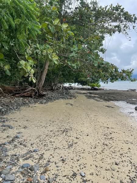 Vacant land for sale 35 Rai - prime location beachfront Lon island, Phuket, ภูเก็ต, ราไวย์, เมืองภูเก็ต, ภูเก็ต, 56,000 ตร.ม., ที่ดิน ขาย, โดย คุณ วิญากร, 500464312 - DDproperty.com