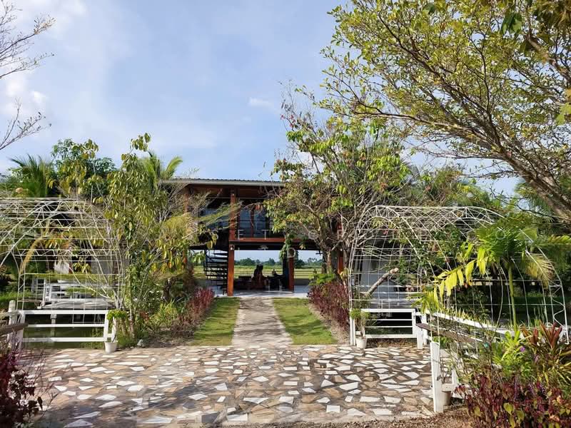 Mae Rim Teakwood House, Chiang Mai, Rim Tai, Mae Rim, Chiang Mai, 4 Bedrooms, 800 sqm, Single Detached House For Sale, by Shori Asset Group Co., Ltd., 500464348 - DDproperty.com