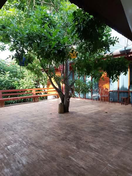 Mae Rim Teakwood House, Chiang Mai, Rim Tai, Mae Rim, Chiang Mai, 4 Bedrooms, 800 sqm, Single Detached House For Sale, by Shori Asset Group Co., Ltd., 500464348 - DDproperty.com