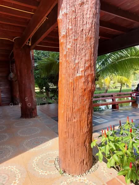Mae Rim Teakwood House, Chiang Mai, Rim Tai, Mae Rim, Chiang Mai, 4 Bedrooms, 800 sqm, Single Detached House For Sale, by Shori Asset Group Co., Ltd., 500464348 - DDproperty.com