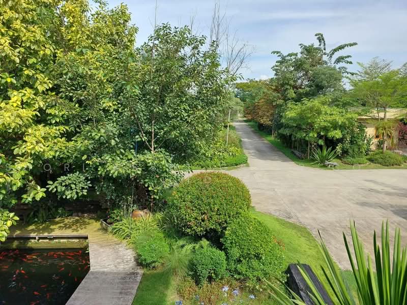 Mae Rim Teakwood House, Chiang Mai, Rim Tai, Mae Rim, Chiang Mai, 4 Bedrooms, 800 sqm, Single Detached House For Sale, by Shori Asset Group Co., Ltd., 500464348 - DDproperty.com